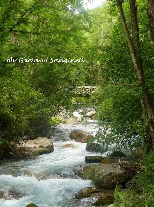 Il Quadrifoglio Ξενοδοχείο Frascineto Εξωτερικό φωτογραφία